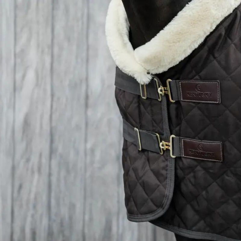 Kentucky Show Rug 160g Brown-2